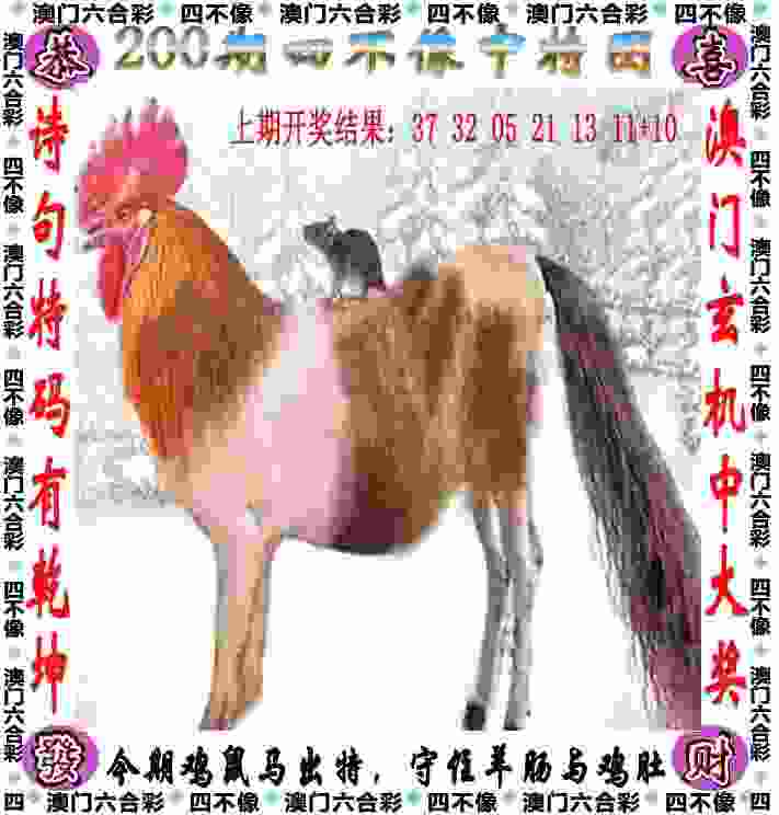 2025新澳免费资科大全手机版下载-777788888王中王免费特色下载安装2025最新版v5   .35   .441   -2278安卓网